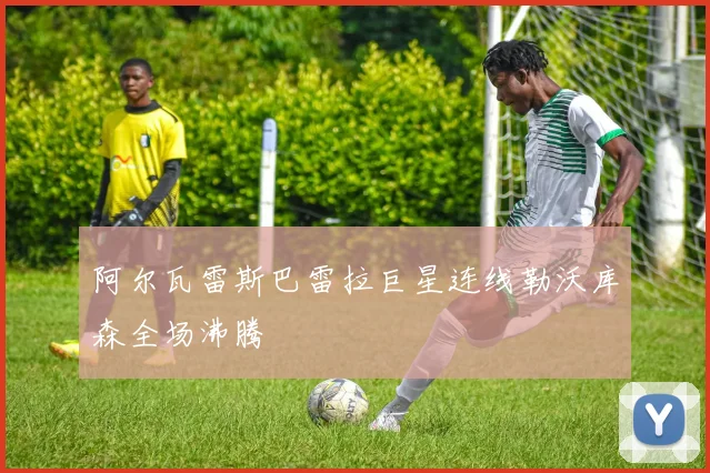 阿尔瓦雷斯巴雷拉巨星连线勒沃库森全场沸腾