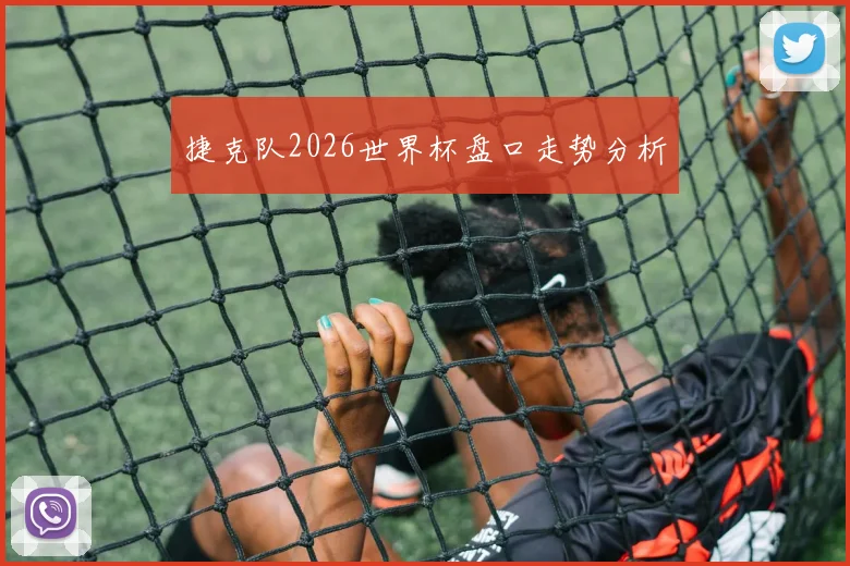 捷克队2026世界杯盘口走势分析