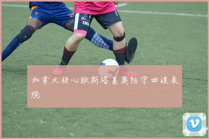 加拿大核心欧斯塔基奥防守回追表现