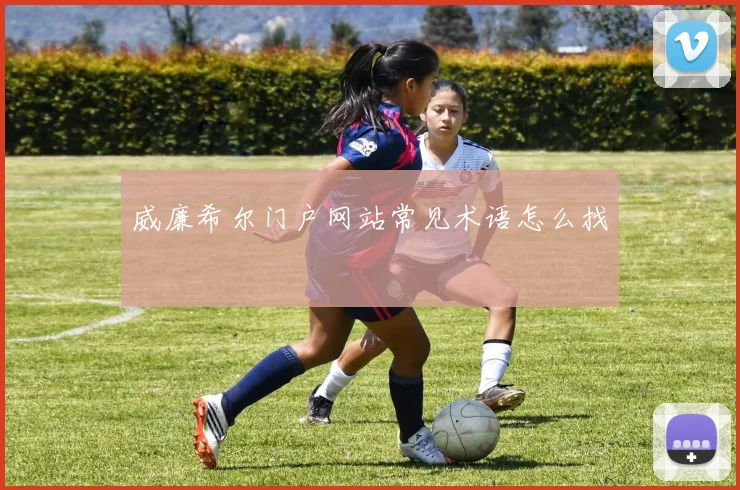威廉希尔门户网站常见术语怎么找