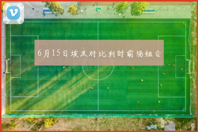 6月15日埃及对比利时前场组合