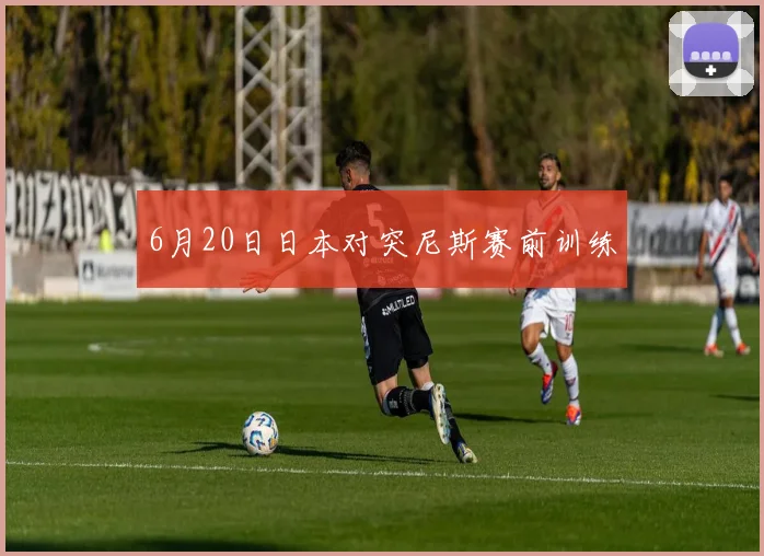 6月20日日本对突尼斯赛前训练
